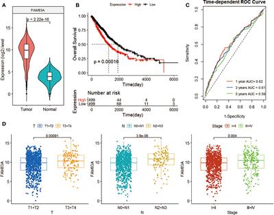 Frontiers | Machine Learning And BP Neural Network Revealed Abnormal B ...